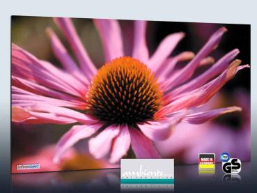 Preview: Infrarot Bildheizung 600 Watt Rahmenlos slim-line 110x60 Echinazea