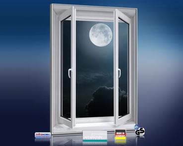 Preview: Infrarot Bildheizung 500 Watt 90x60 M10-SL Fensterblick Vollmond