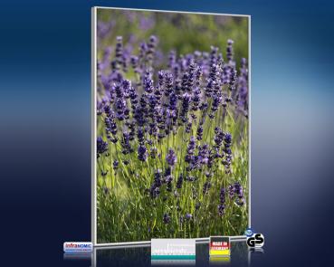 Preview: Infrarot Bildheizung 500 Watt 90x60 M10-SL Lavendel
