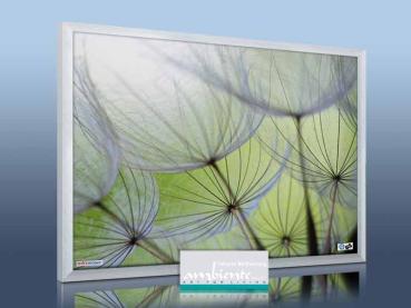 Preview: Infrarot Bildheizung 400 Watt 70x60 M23-SG Pusteblumen
