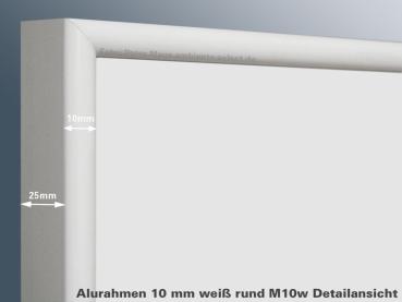 Preview: Infrarotheizung Glas weiß Spiegelheizung Bad 500 Watt 90x60 M10W