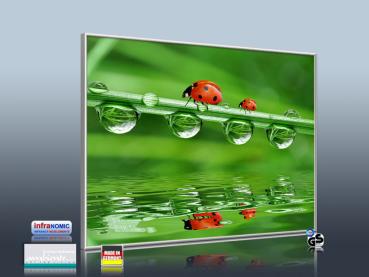 Preview: Infrarotheizung als Bild 400 Watt 70x60 M10-SL Marienkäfer