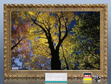 Preview: Infrarot Bildheizung 500 Watt 90x60 Stilrahmen StG Herbst
