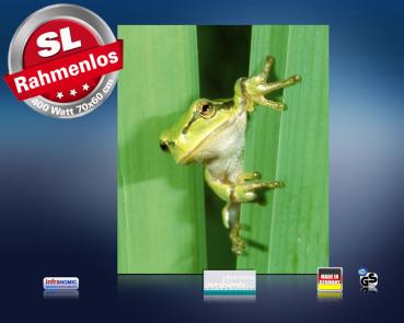 Preview: Infrarot Bildheizung 400 Watt 70x60 M10-SL Frosch