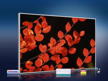 Preview: Infrarot Bildheizung 500 Watt 90x60 M10-SL Rote Blätter
