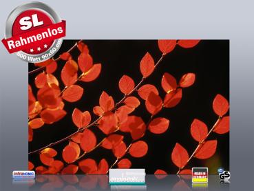 Preview: Infrarot Bildheizung 500 Watt 90x60 M10-SL Rote Blätter