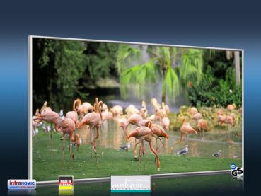 Preview: Infrarotheizung als Bild Bildheizung 600 Watt 110x60 M10-SL Flamingos