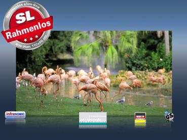 Preview: Infrarotheizung als Bild Bildheizung 600 Watt 110x60 M10-SL Flamingos