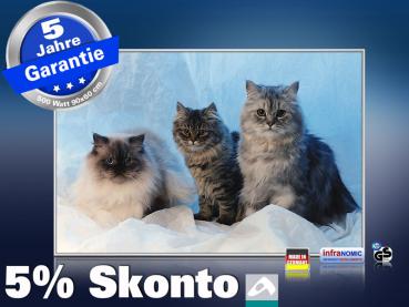 infrarotheizung mit Bild Bildheizung 500 Watt 90x60 M10-SL Katzen
