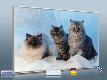 Preview: infrarotheizung mit Bild Bildheizung 500 Watt 90x60 M10-SL Katzen