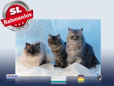 Preview: infrarotheizung mit Bild Bildheizung 500 Watt 90x60 M10-SL Katzen