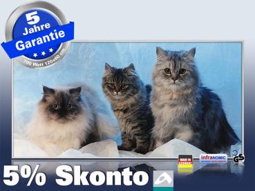 Infrarotheizung als Bild Bildheizung 700 Watt 120x60 M10-SL Katzen