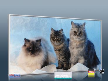 Preview: Infrarotheizung als Bild Bildheizung 700 Watt 120x60 M10-SL Katzen