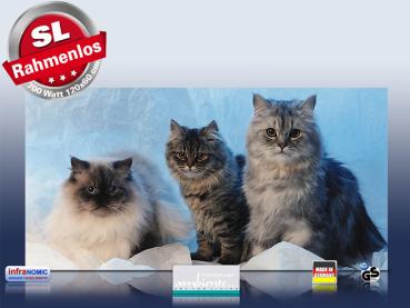 Preview: Infrarotheizung als Bild Bildheizung 700 Watt 120x60 M10-SL Katzen