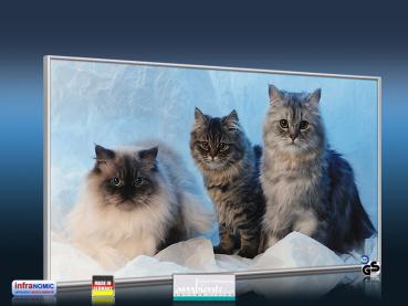 Preview: Infrarot Bildheizung 600 Watt 110x60 M10-SL Katzen