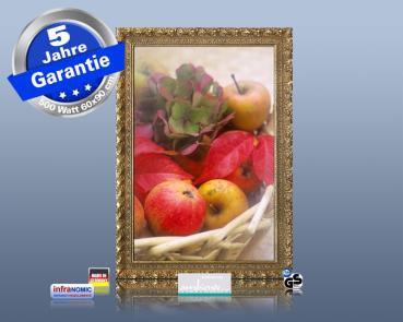 Preview: Infrarot Bildheizung 500 Watt 90x60 Stilrahmen StG Obstkorb