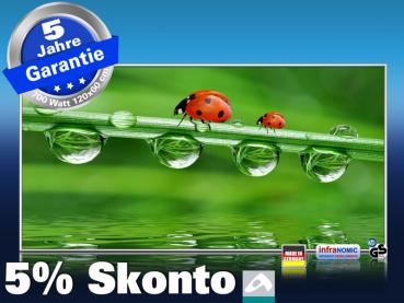 Infrarot Bildheizung 700 Watt 120x60 M10-SL Marienkäfer