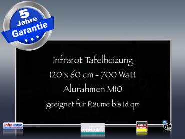 Preview: Fern Infrarotheizung weiß Spiegelheizung Bad 600 Watt 110x60 M10