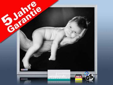 Infrarot Bildheizung 400 Watt 70x60 M23-SG Baby