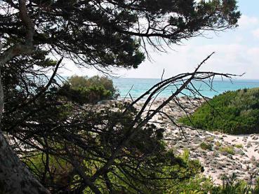 Bildheizung-Motiv Strand Mallorca für Standard Infrarotheizung