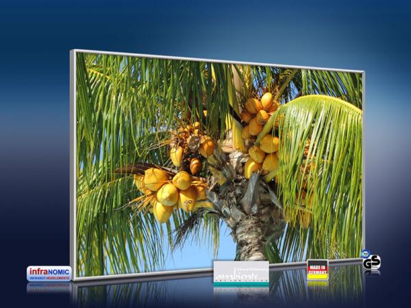 infrarot Bildheizung 500 Watt 90x60 M10-SL Palmenfrüchte