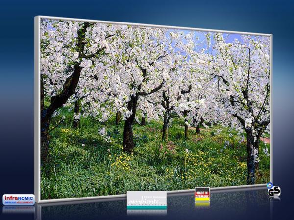 infrarot Bildheizung 500 Watt 90x60 M10-SL Apfelblüte