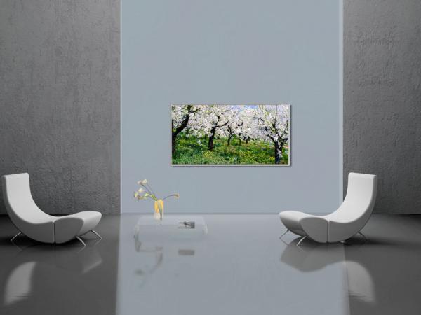 Infrarot Bildheizung Kunst 700 Watt 120x60 M10-SL Apfelblüte