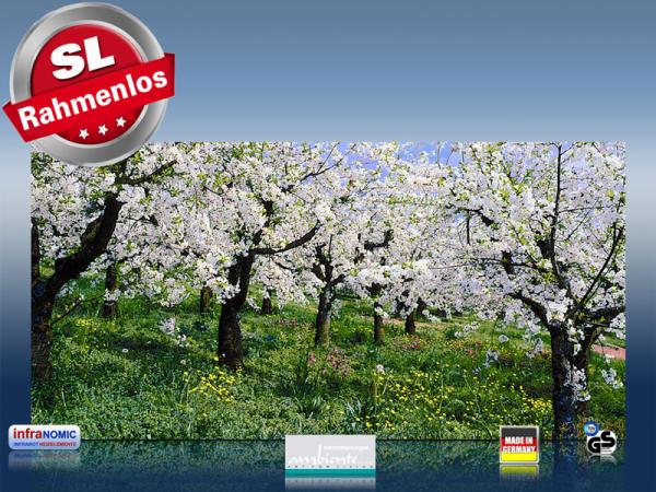 Infrarot Bildheizung Kunst 700 Watt 120x60 M10-SL Apfelblüte