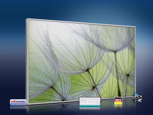 infrarot Bildheizung 500 Watt 90x60 M10-SL Pusteblumen