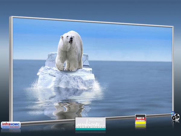 Infrarot Bildheizung 700 Watt 120x60 M10-SL Eisbär