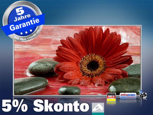 Infrarot Bildheizung 600 Watt 110x60 M10-SL Rote Gerbera