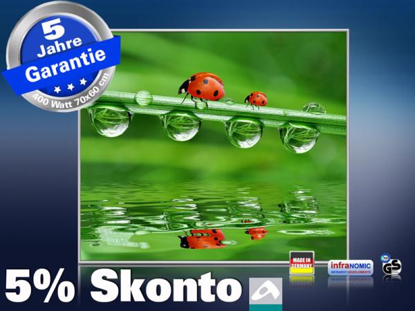 Infrarot Bildheizung 400 Watt 70x60 M10-SL Marienkäfer