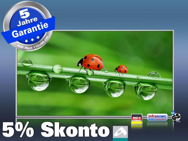 Infrarot Bildheizung 600 Watt 110x60 M10-SL Marienkäfer