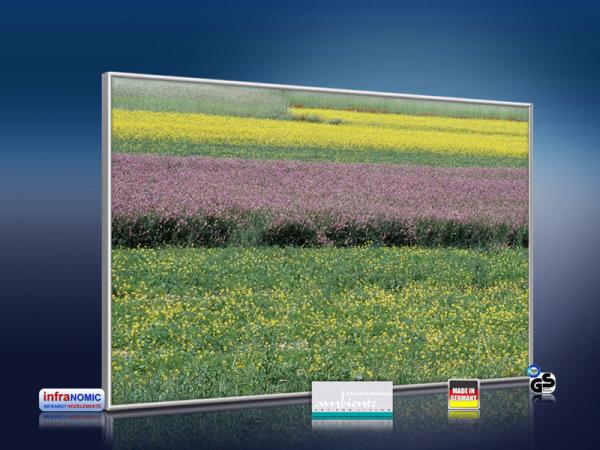 infrarot Bildheizung 500 Watt 90x60 M10-SL spring