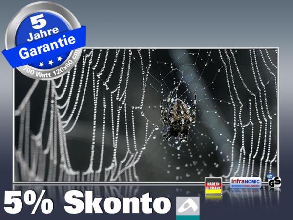 Infrarot Bildheizung 700 Watt 120x60 M10-SL Spinne