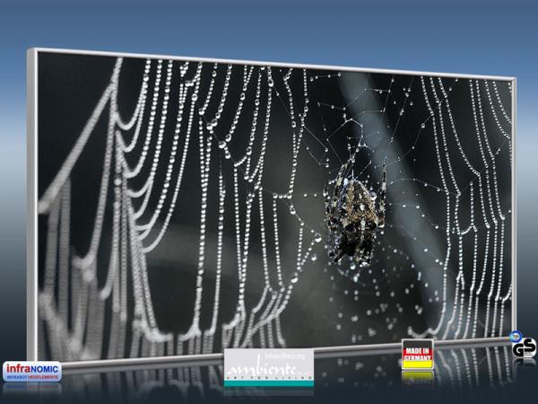 Infrarot Bildheizung 700 Watt 120x60 M10-SL Spinne