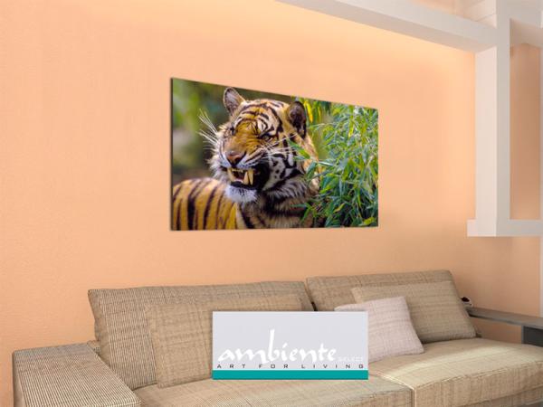 Infrarot Bildheizung 600 Watt 110x60 M10-SL Tiger