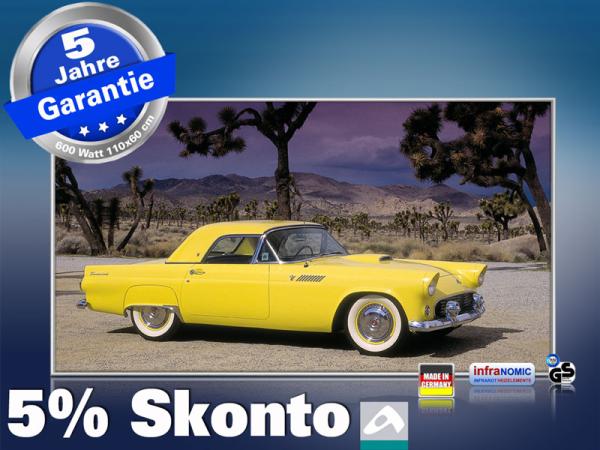 Infrarot Bildheizung 600 Watt 110x60 M10-SL Ford Thunderbird