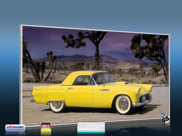 Infrarot Bildheizung 600 Watt 110x60 M10-SL Ford Thunderbird