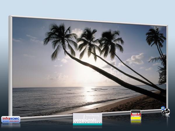 Infrarot Bildheizung 700 Watt ESG Glas 120x60 M10-SL Barbados