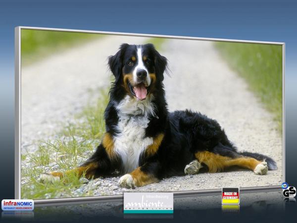 Infrarot Bildheizung 700 Watt 120x60 M10-SL Berner Sennhund