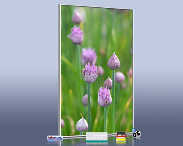 Infrarot Bildheizung 600 Watt 110x60 M10-SL Schnittlauch
