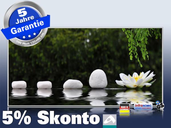 Infrarot Bildheizung 700 Watt 120x60 M10-SL Wellness 126