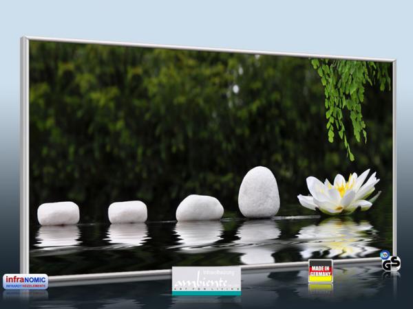 Infrarot Bildheizung 700 Watt 120x60 M10-SL Wellness 126