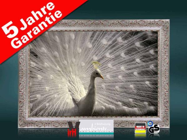 Infrarot Bildheizung 500 Watt 90x60 Stilrahmen StSi Pfau II
