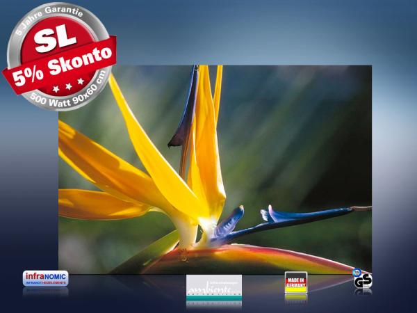 Infrarot Bildheizung 500 Watt Rahmenlos slim-line 90x60 Strelizie