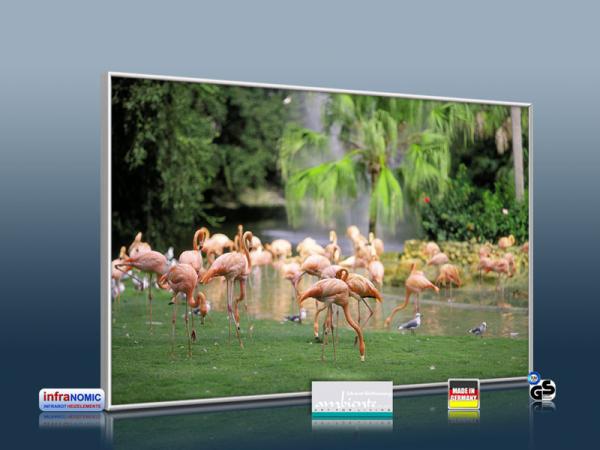 infrarotheizung mit Bild Bildheizung 500 Watt 90x60 M10-SL Flamingos