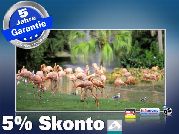 Infrarotheizung als Bild Bildheizung 600 Watt 110x60 M10-SL Flamingos