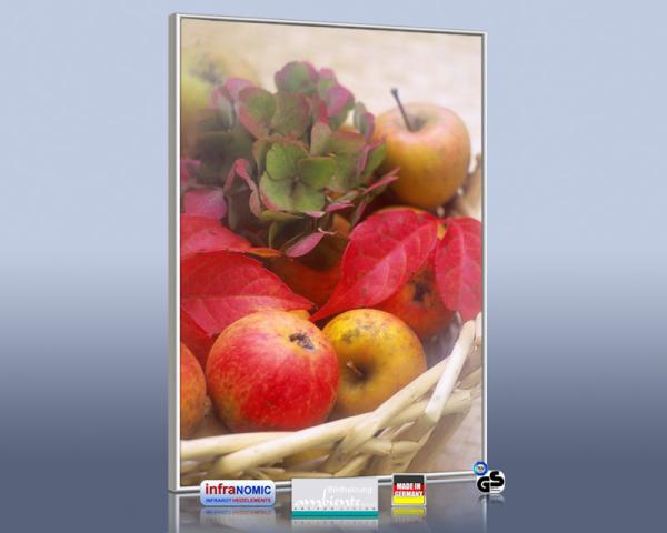 Infrarot Bildheizung 500 Watt 90x60 M10-SL Obstkorb