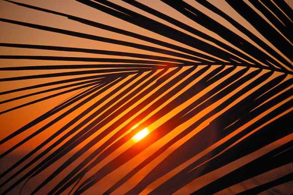 Bildheizung-Motiv Sonnenuntergang 01 für Standard Infrarotheizung